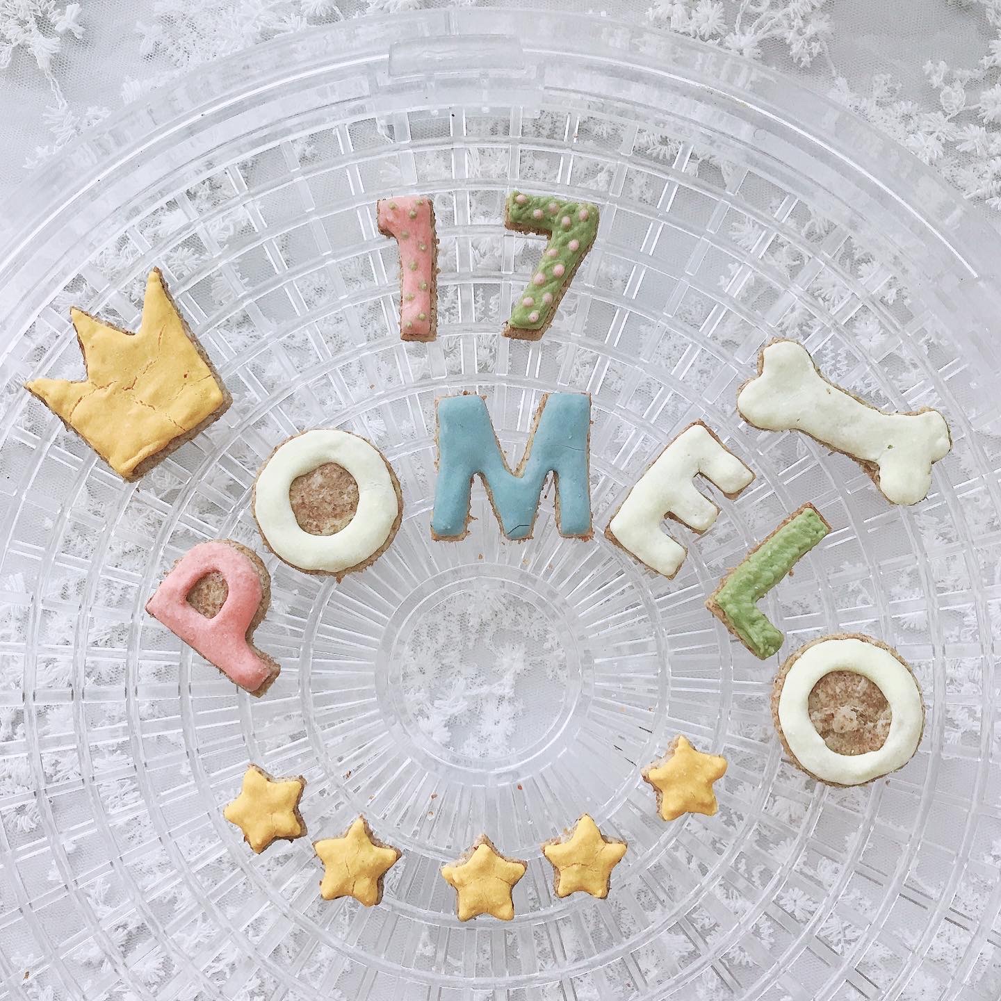 Blog 東京より通販 犬用ケーキ 猫用ケーキ専門店 アトリエキャドック