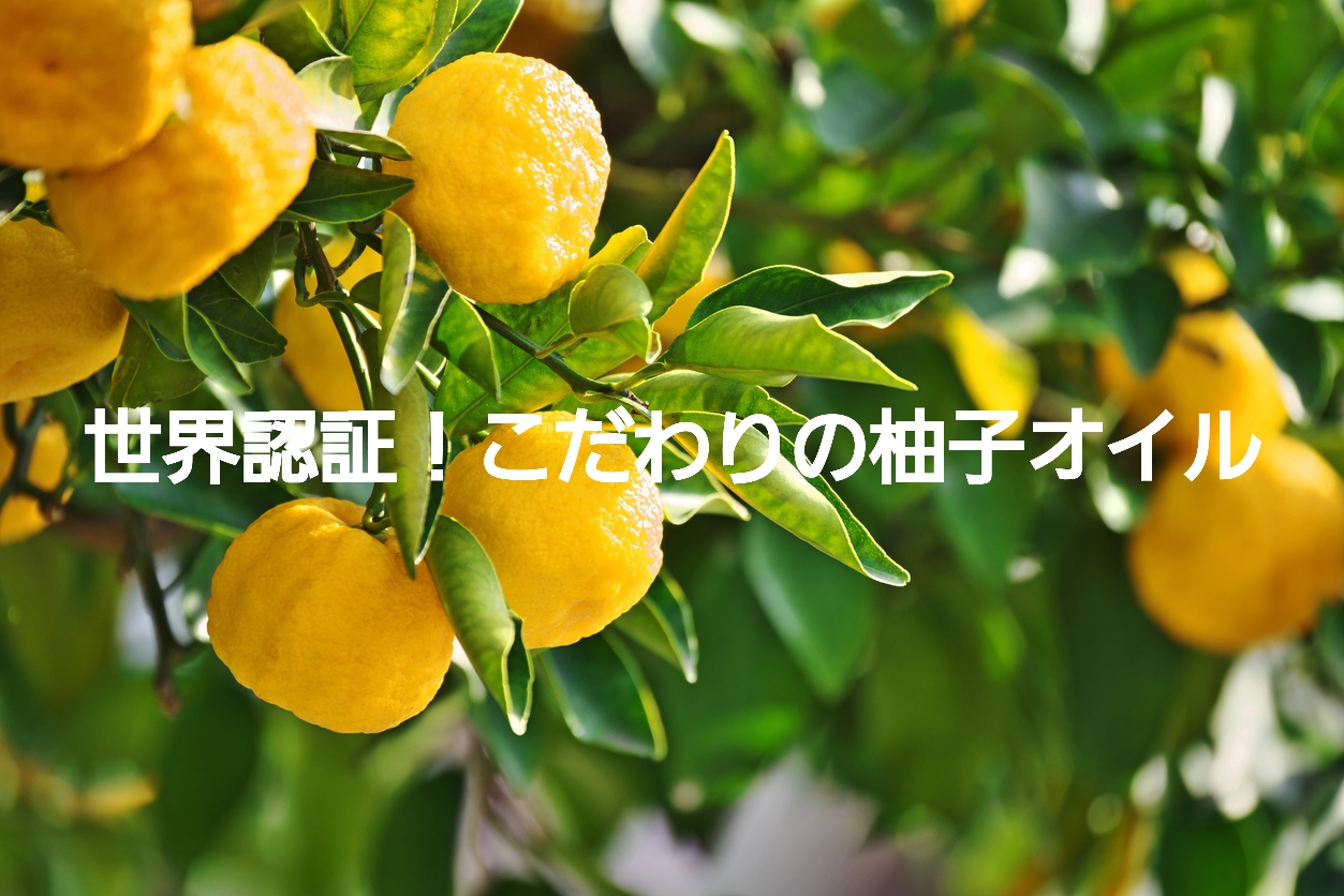 コスモス認証って何？CurlyMeこだわりの｢柚子｣にフォーカス！