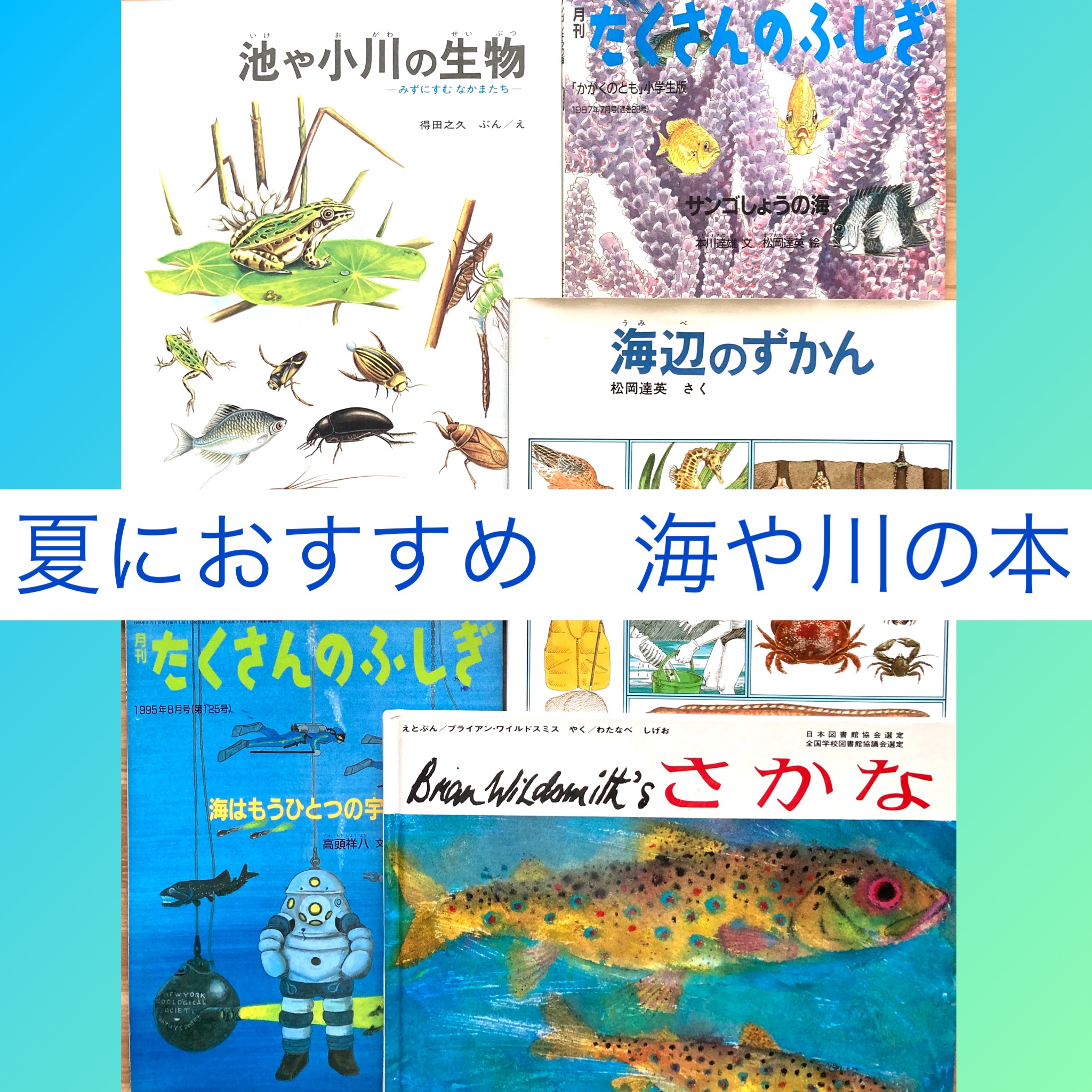 夏におすすめ　海や川の本
