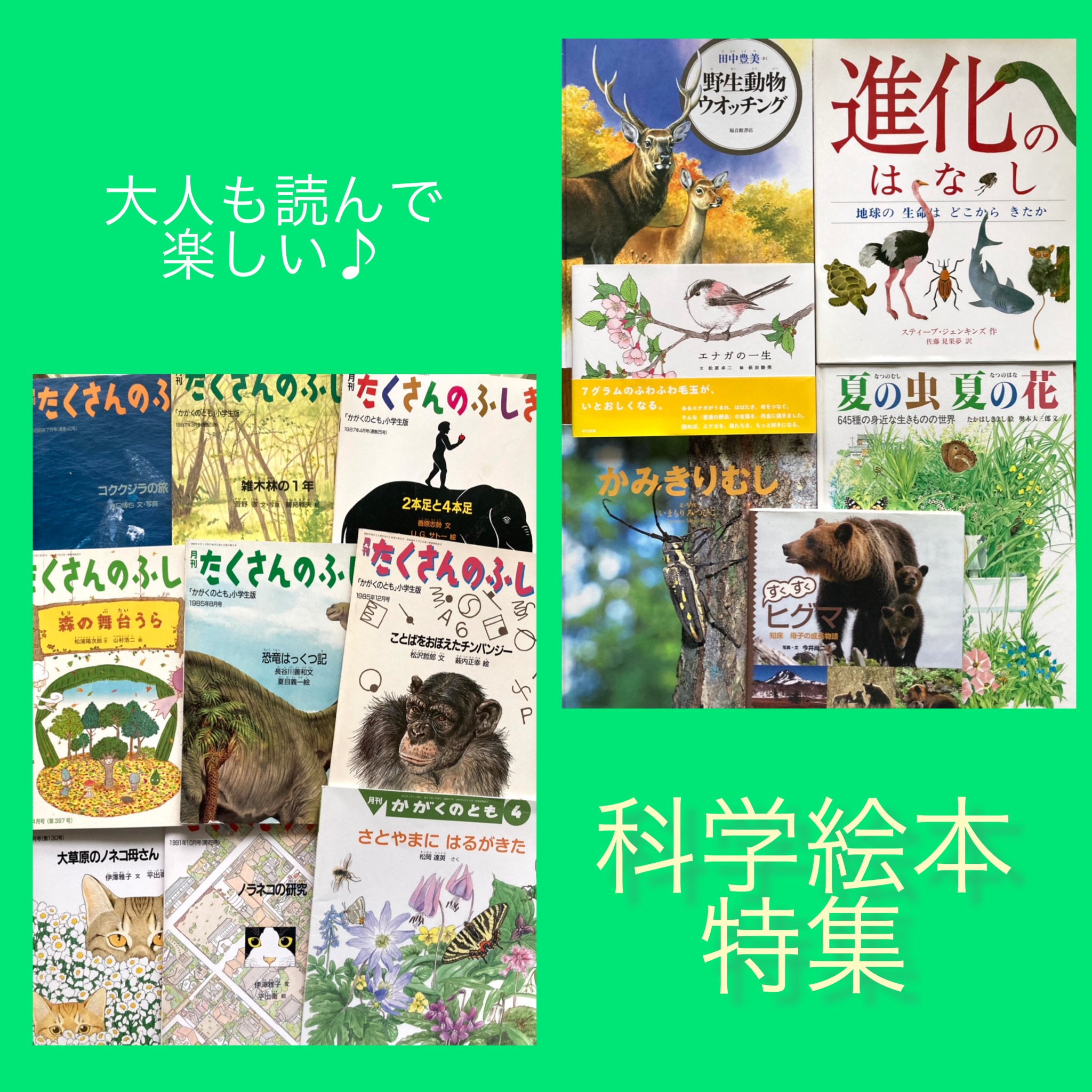 大人も読んで楽しい科学絵本