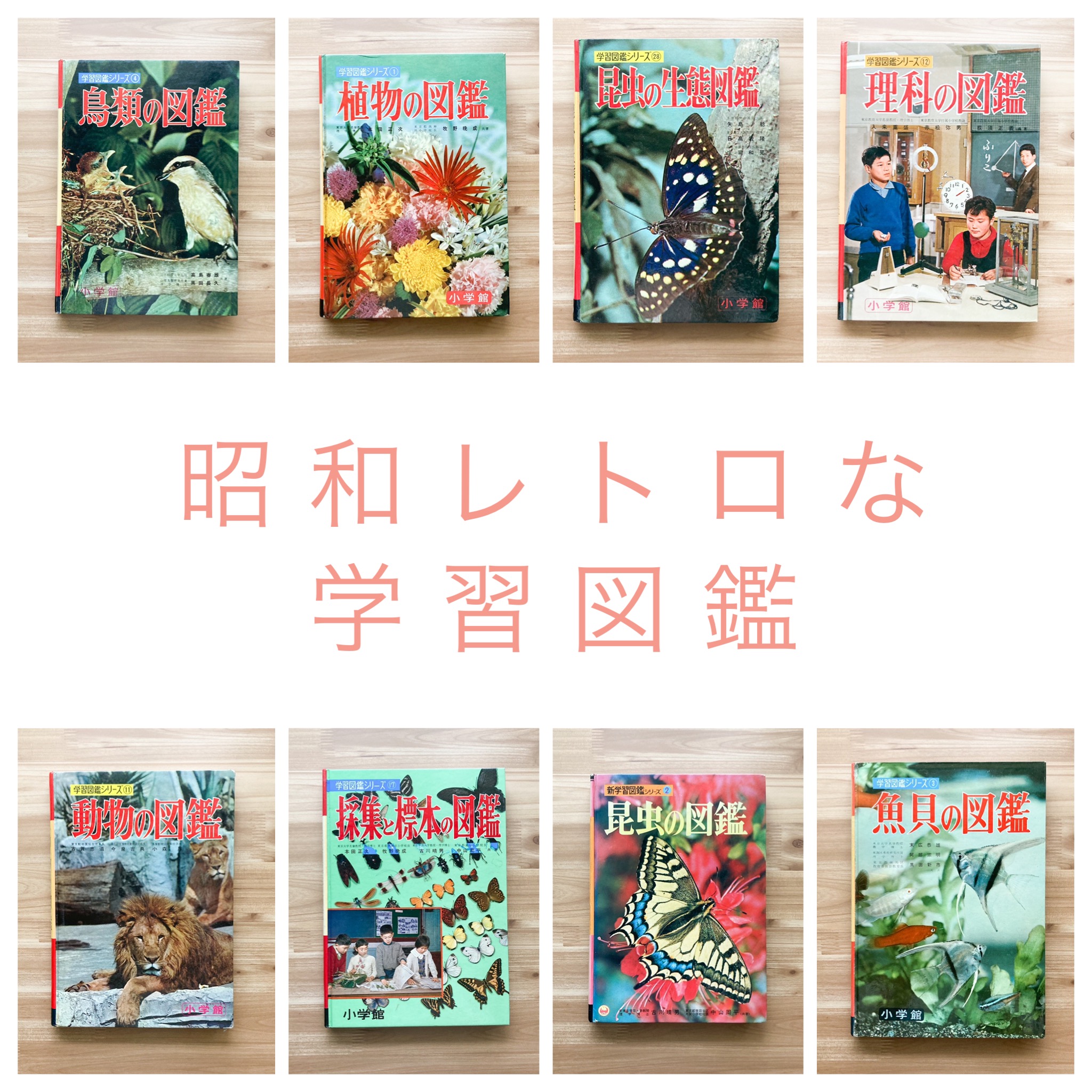 昭和レトロな学習図鑑