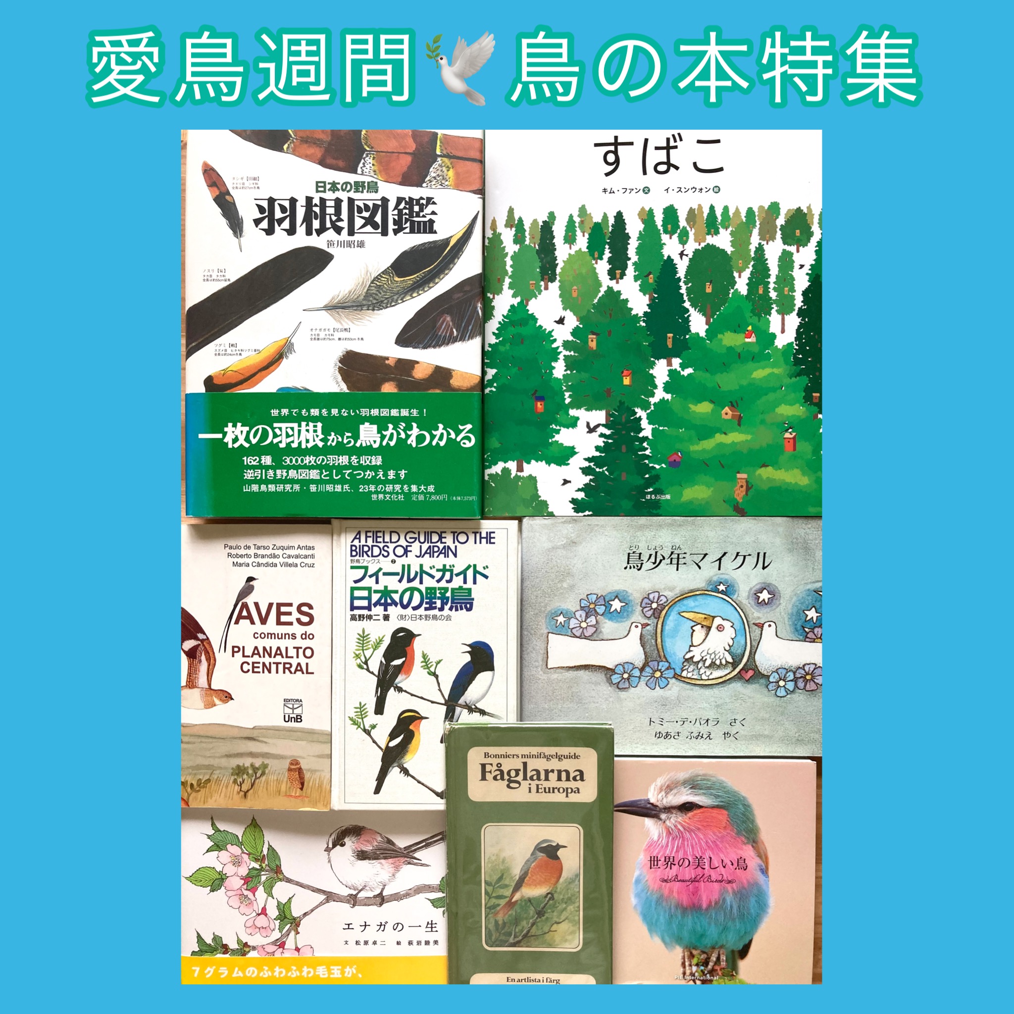 愛鳥週間【鳥の本特集】