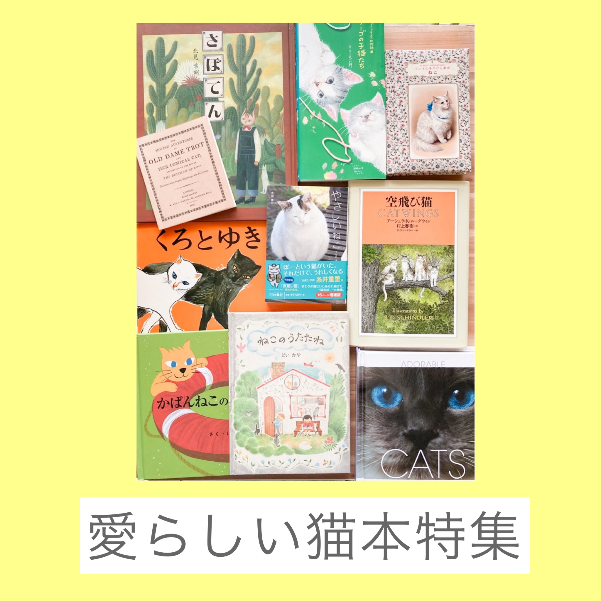 愛らしい猫本特集