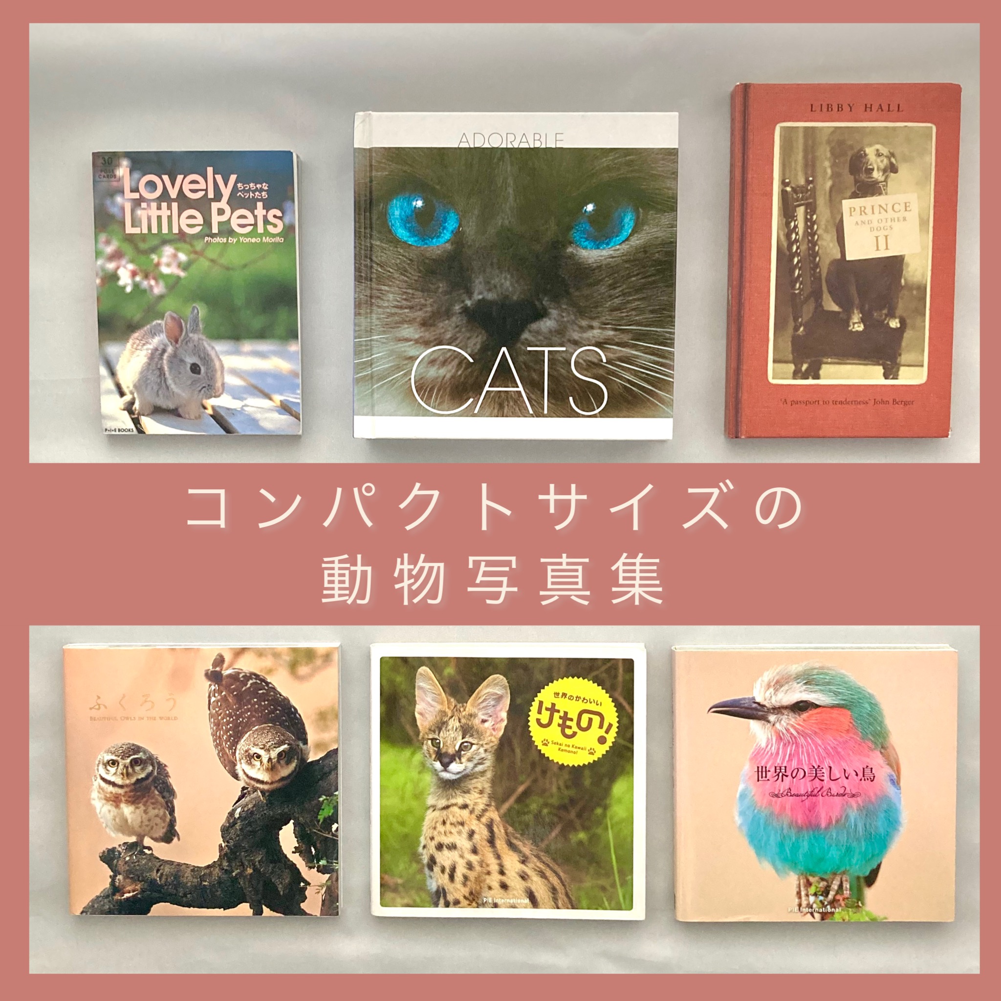 コンパクトサイズの動物写真集