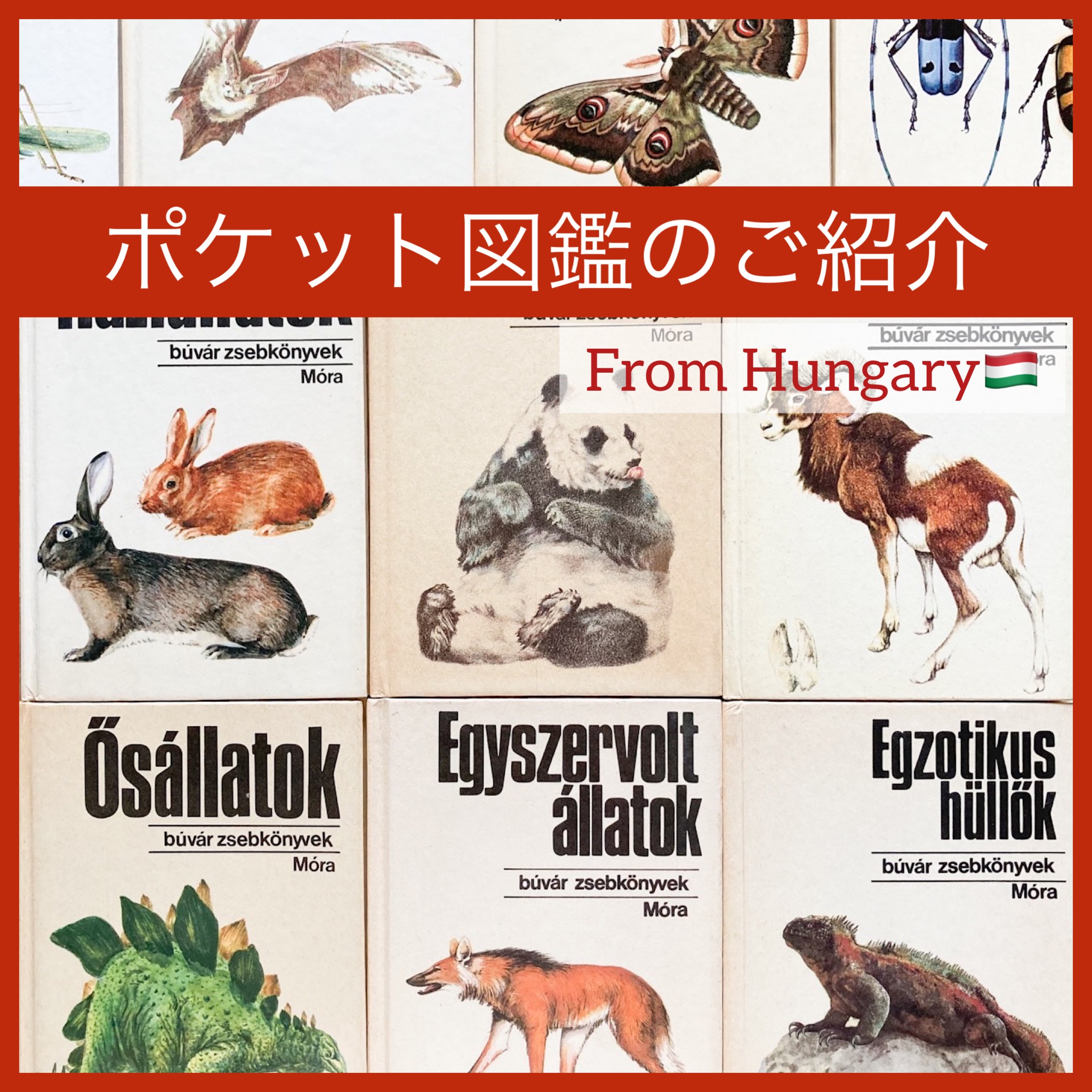 ハンガリーのポケット図鑑のご紹介