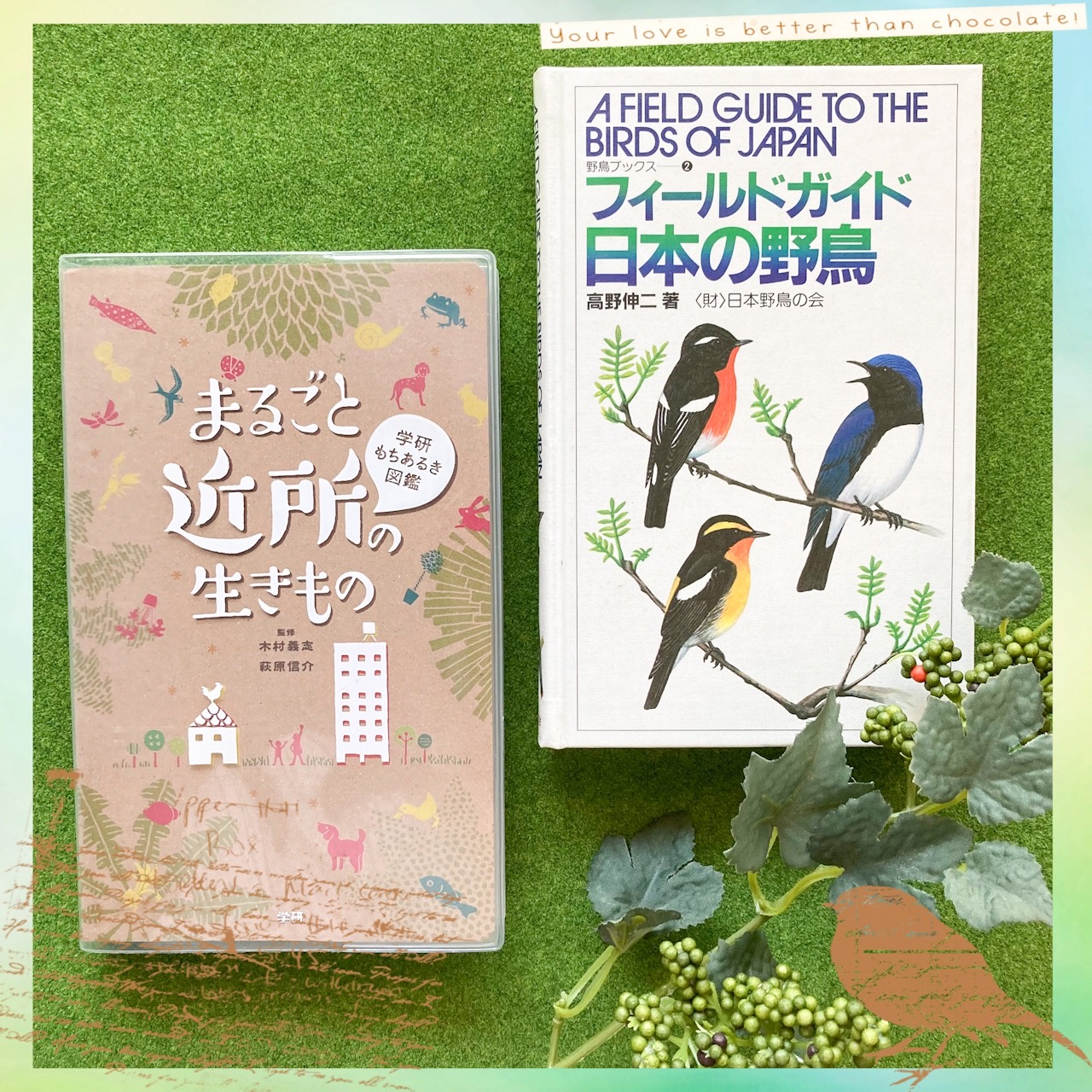 春のお散歩に持っていきたい図鑑