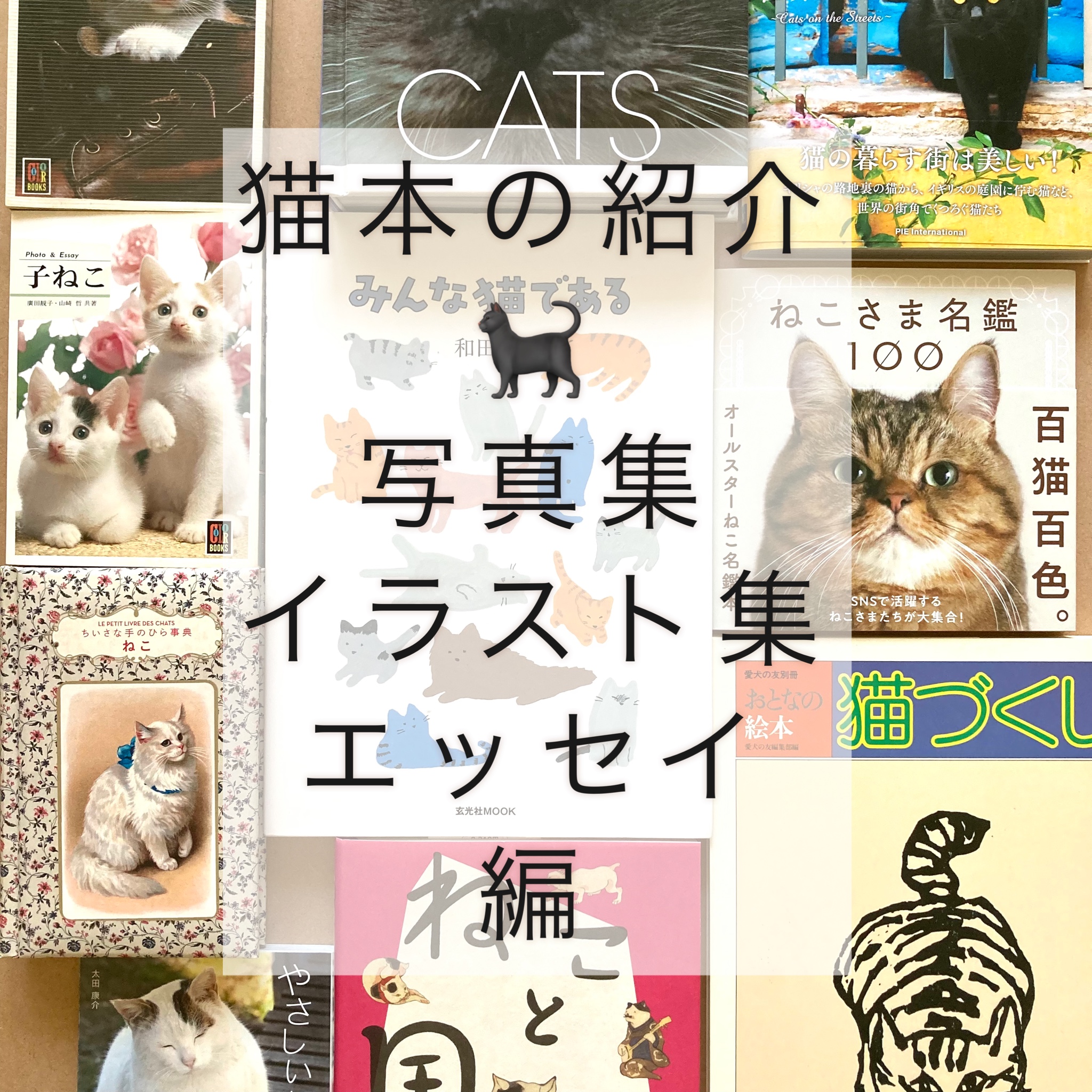 猫本紹介　【猫の写真集・イラスト集・エッセイ編】