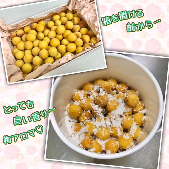 梅干しと白たまり