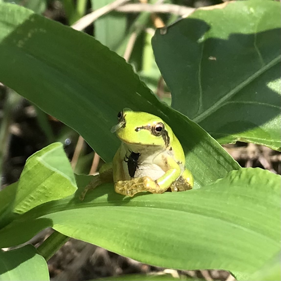 この佇まい、かわいすぎる〜💕💕💕