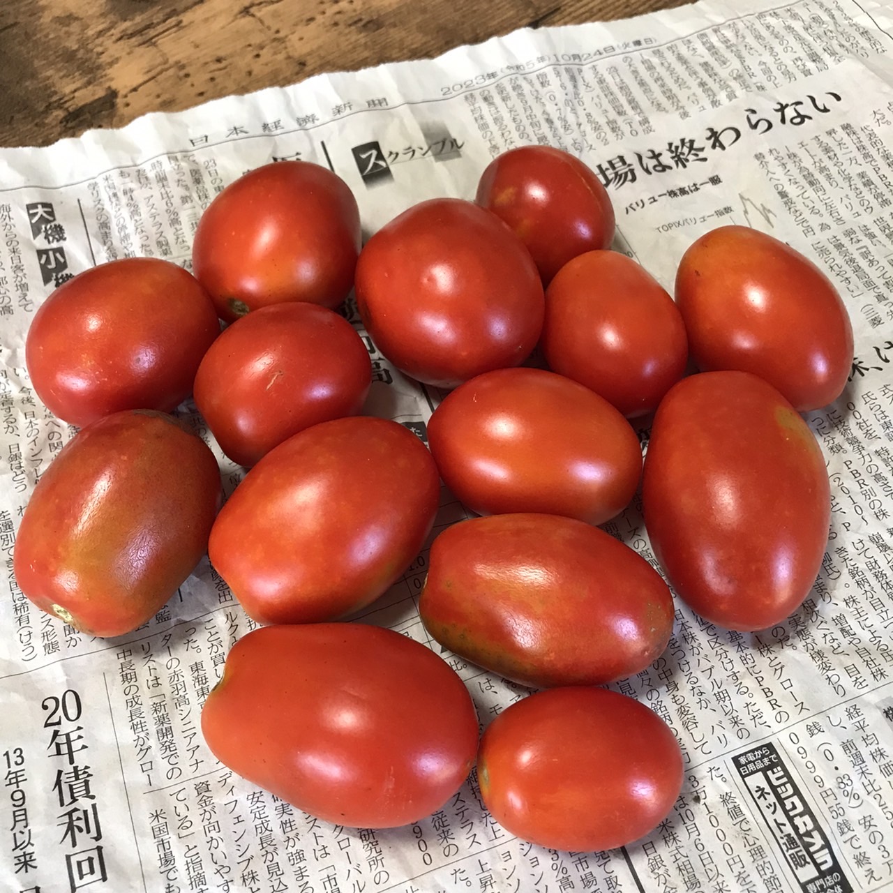 トマトベーグル 数量限定販売!