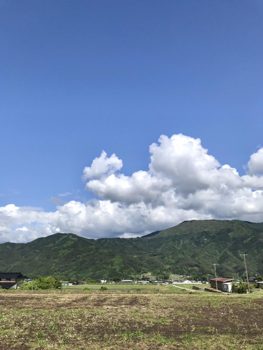 引っ越してきました!