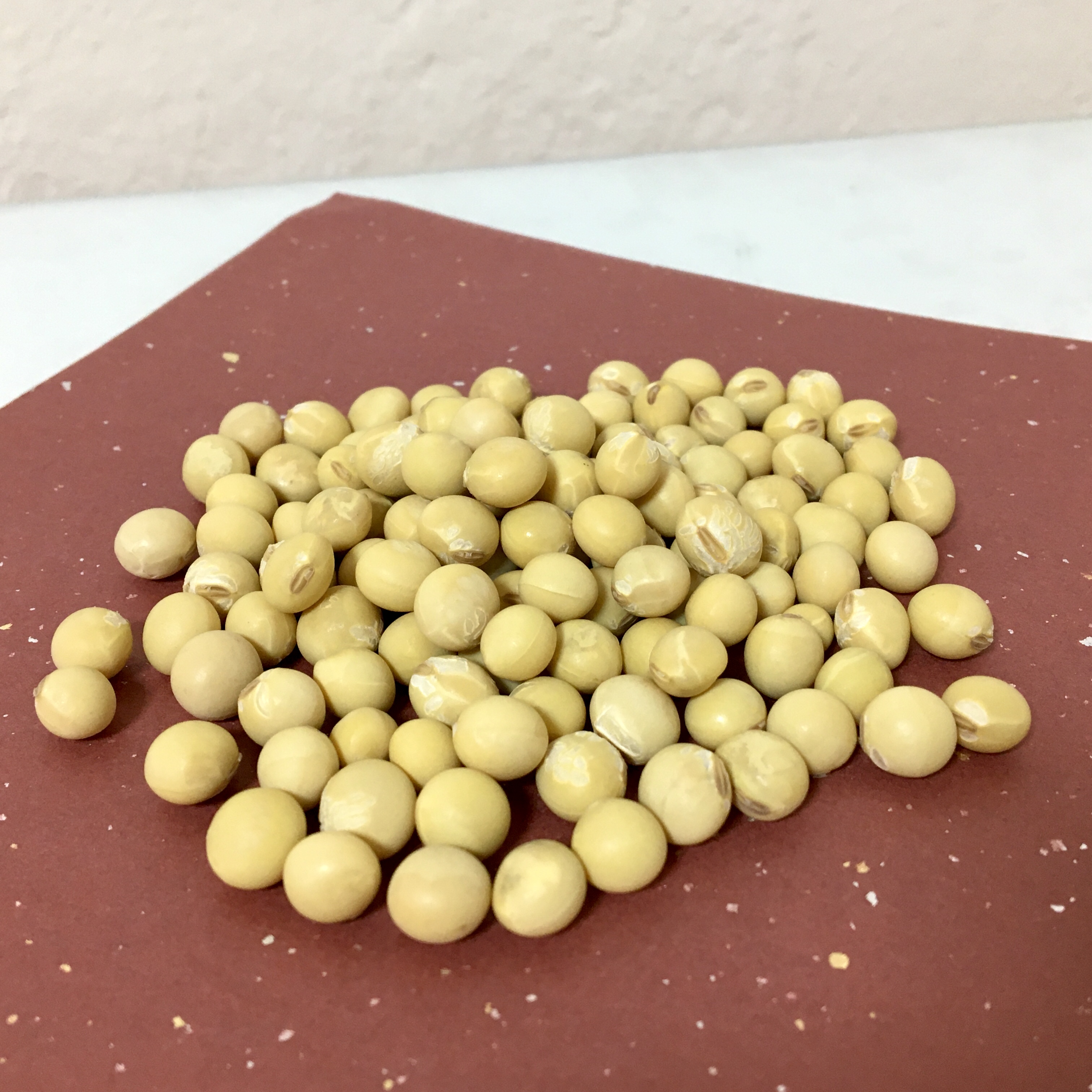 短期熟成のお味噌仕込み