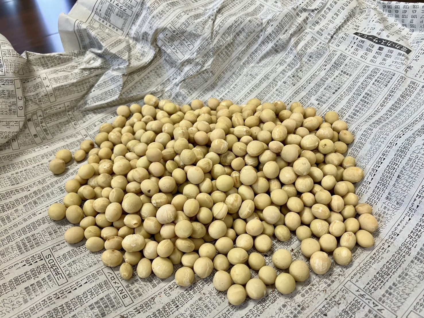 みそ楽部のお味噌仕込み