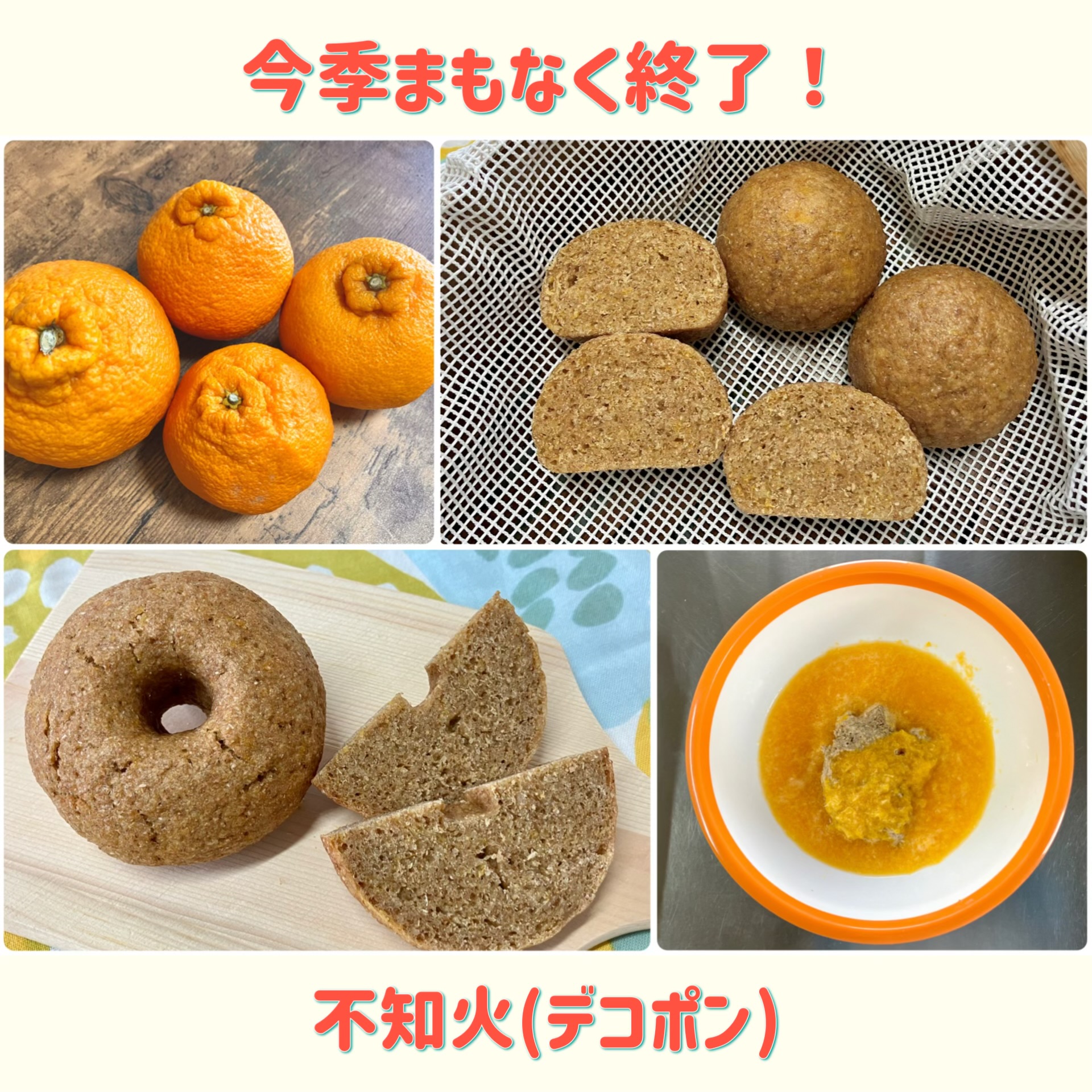 不知火(デコポン)販売終了のお知らせ