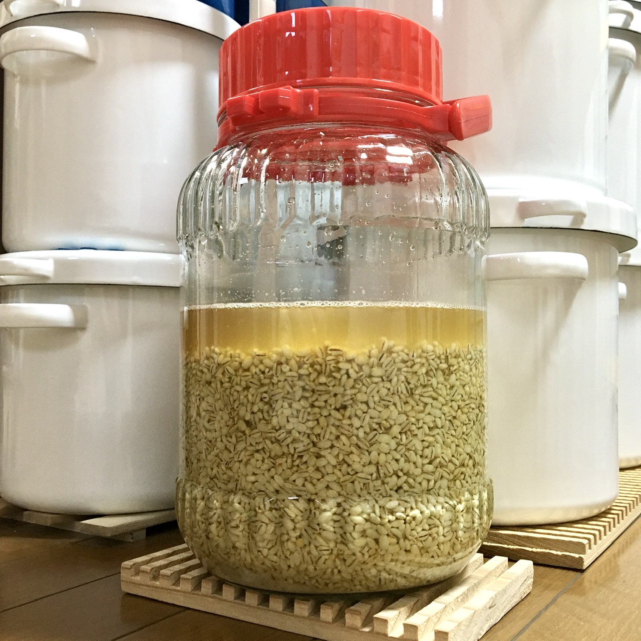 白醤油を仕込みました!