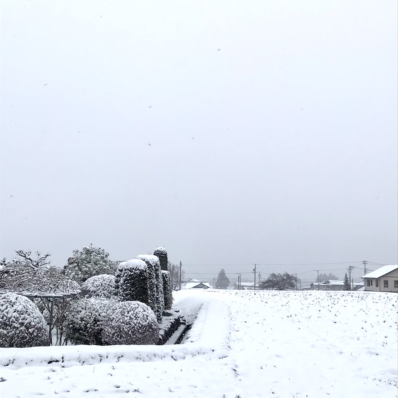 雪の中で
