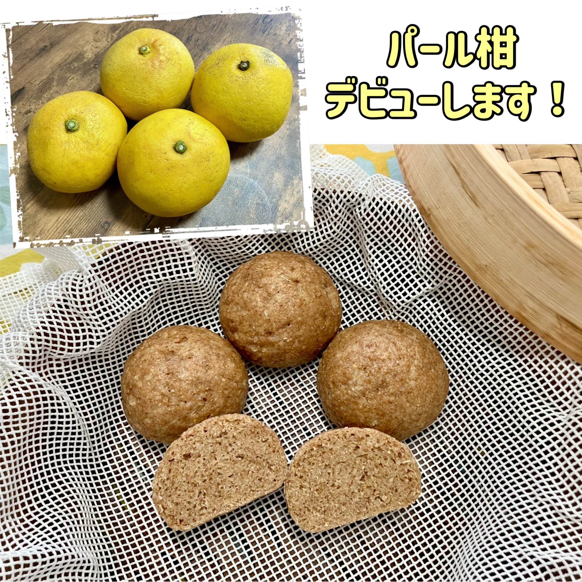 ネットショップでもオープンデーを♪