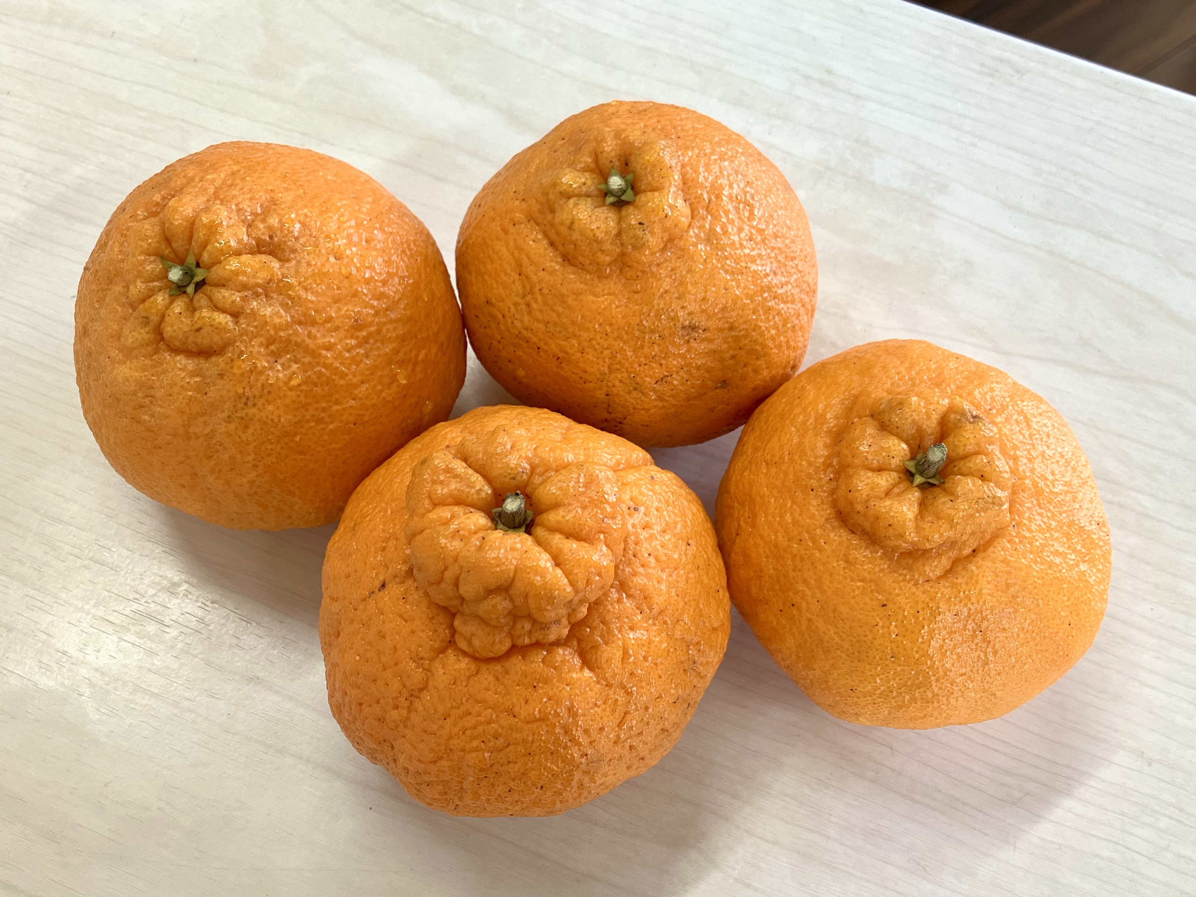 不知火(しらぬい)が届きました🙌