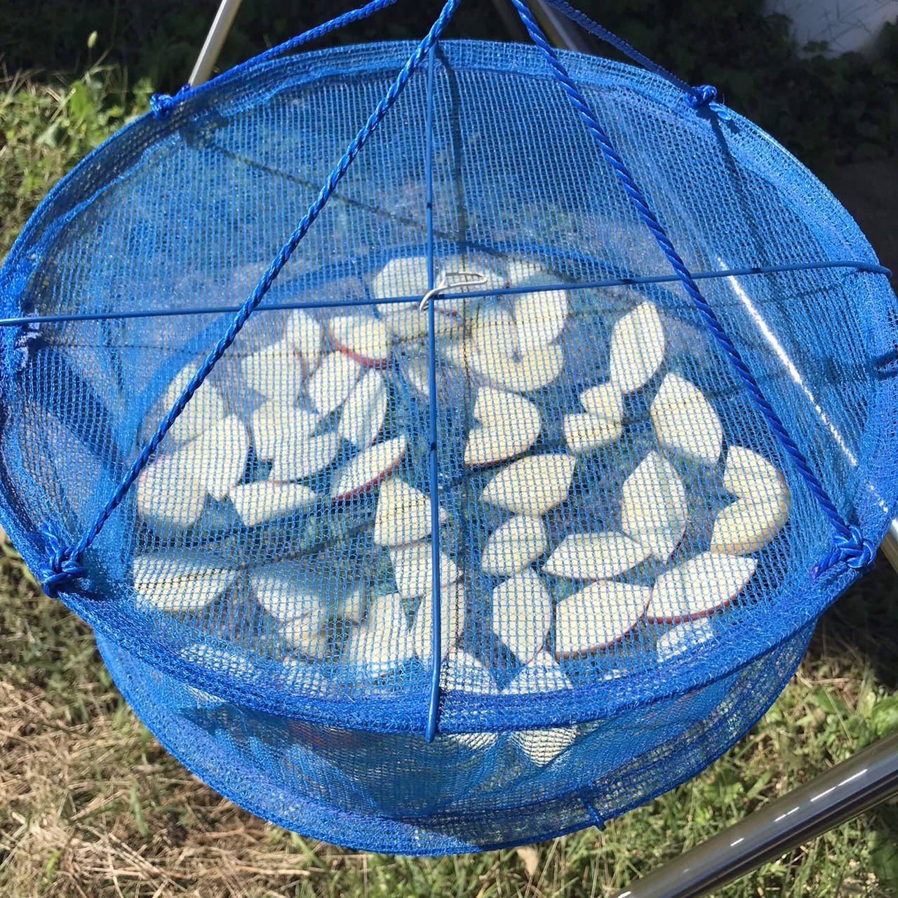 りんごのパンの準備もそろそろ♪
