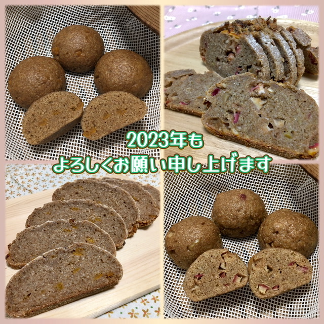 2023年始動！