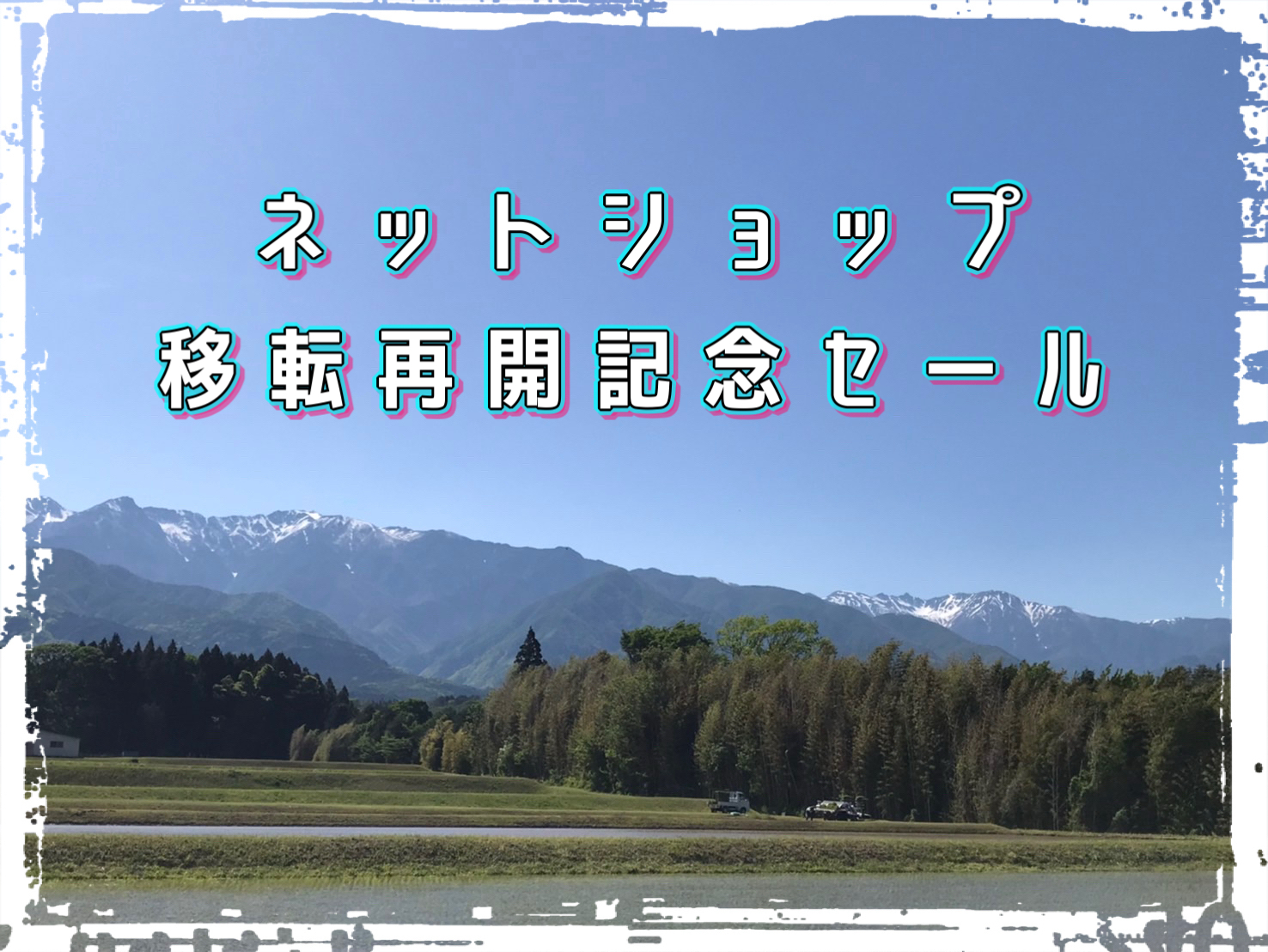 移転再開記念日☆