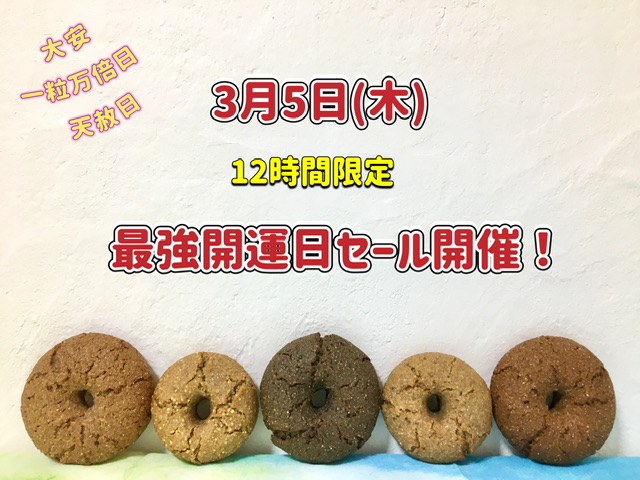 本日、12時間限定セールします！