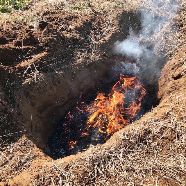 【畑日記】畑初め