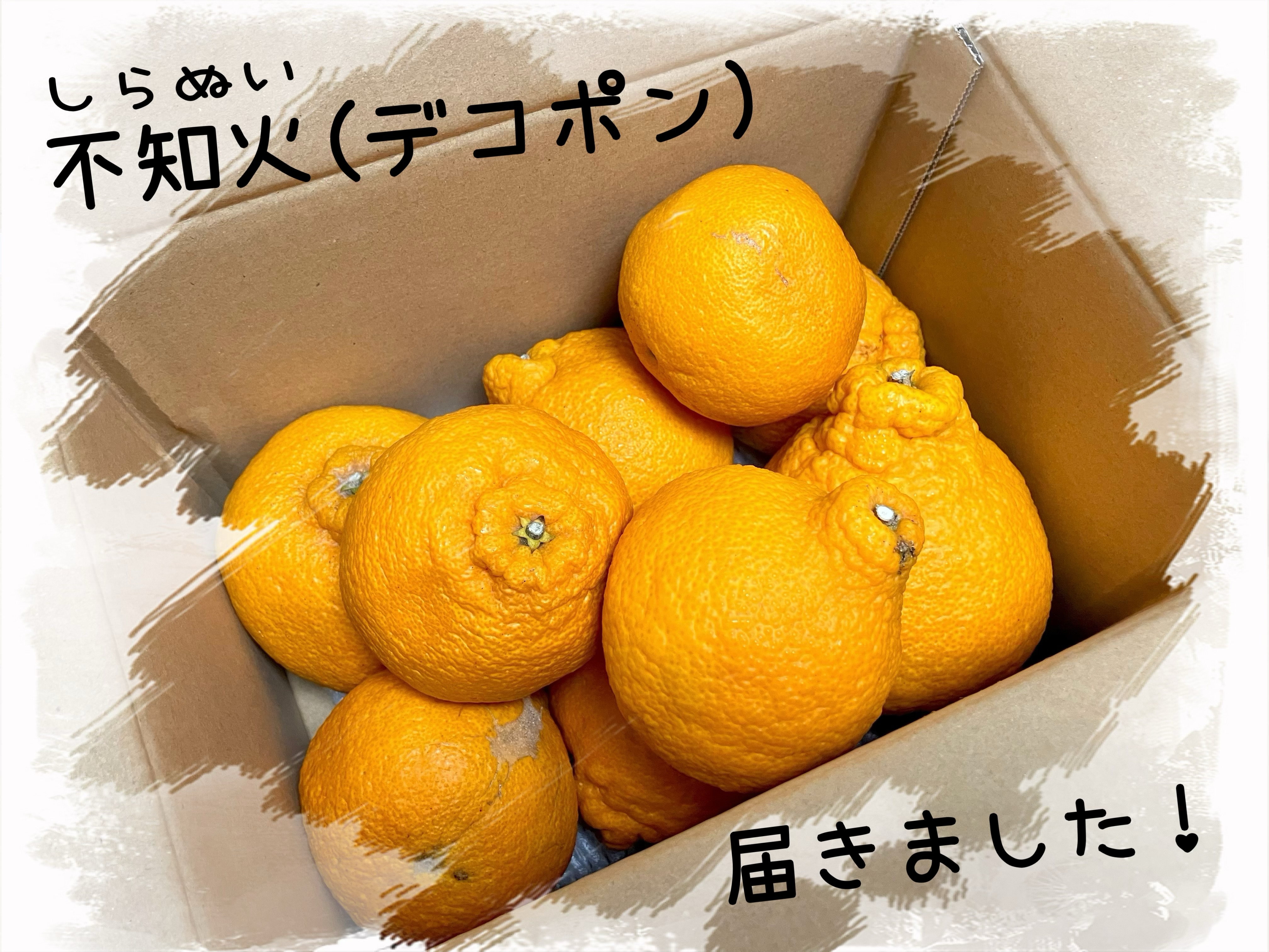 明日は工房オープンデー🏠✨