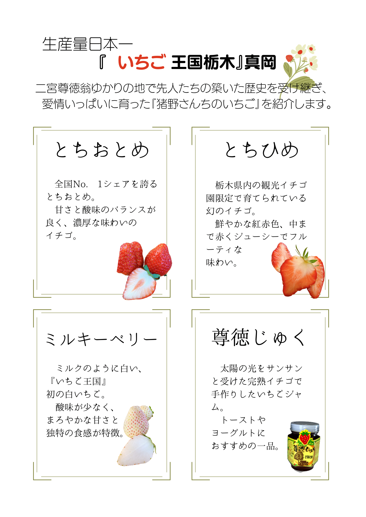 いちご、いちご加工品について