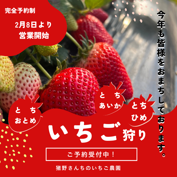 いちご狩りについて