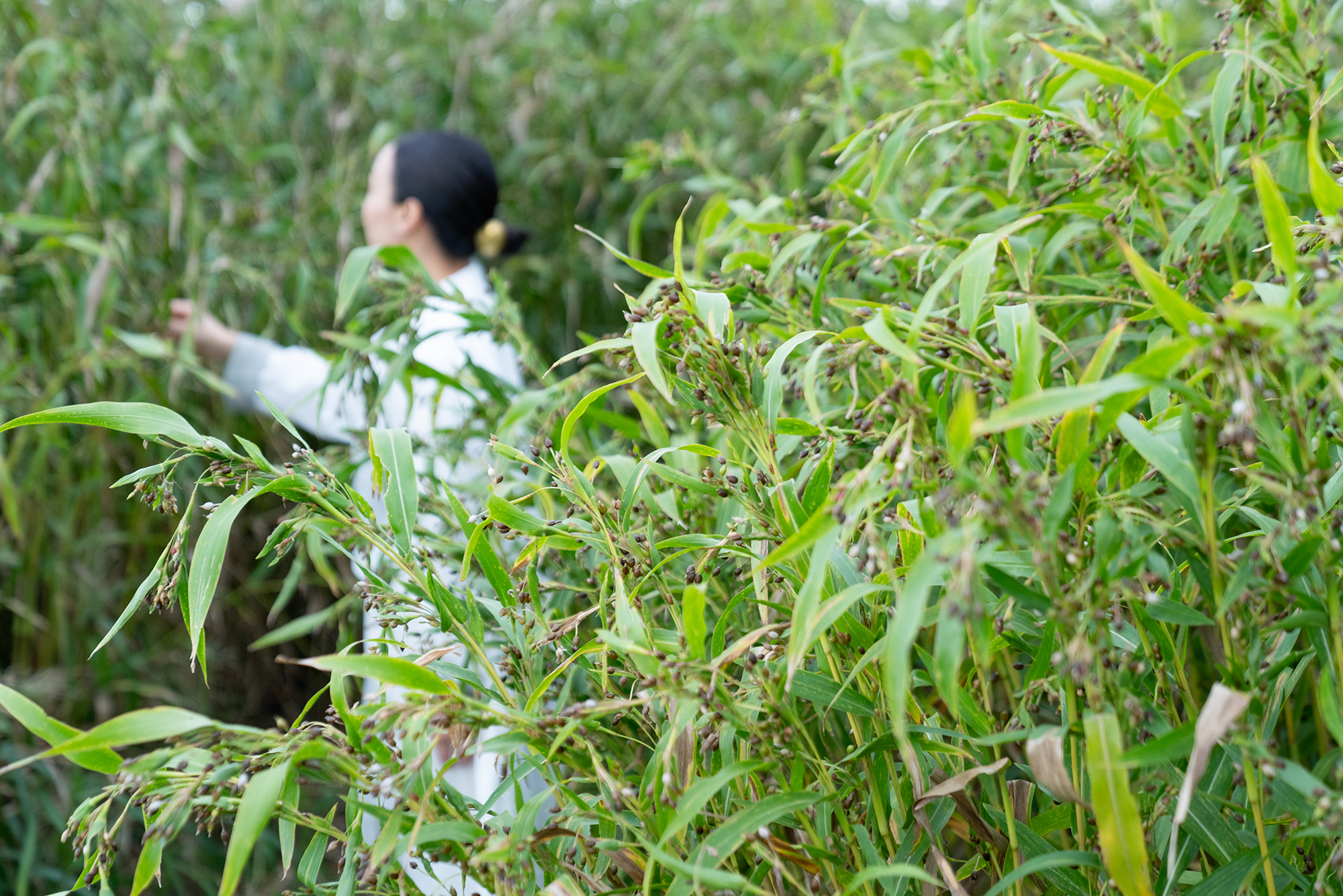 夏季休業期間のお知らせ
