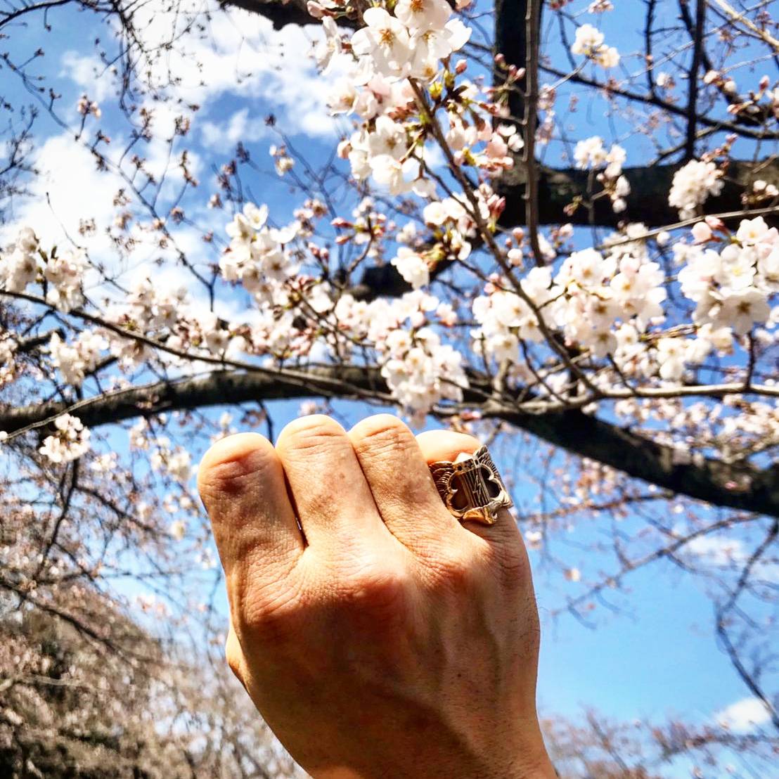 ☆SAKURA☆