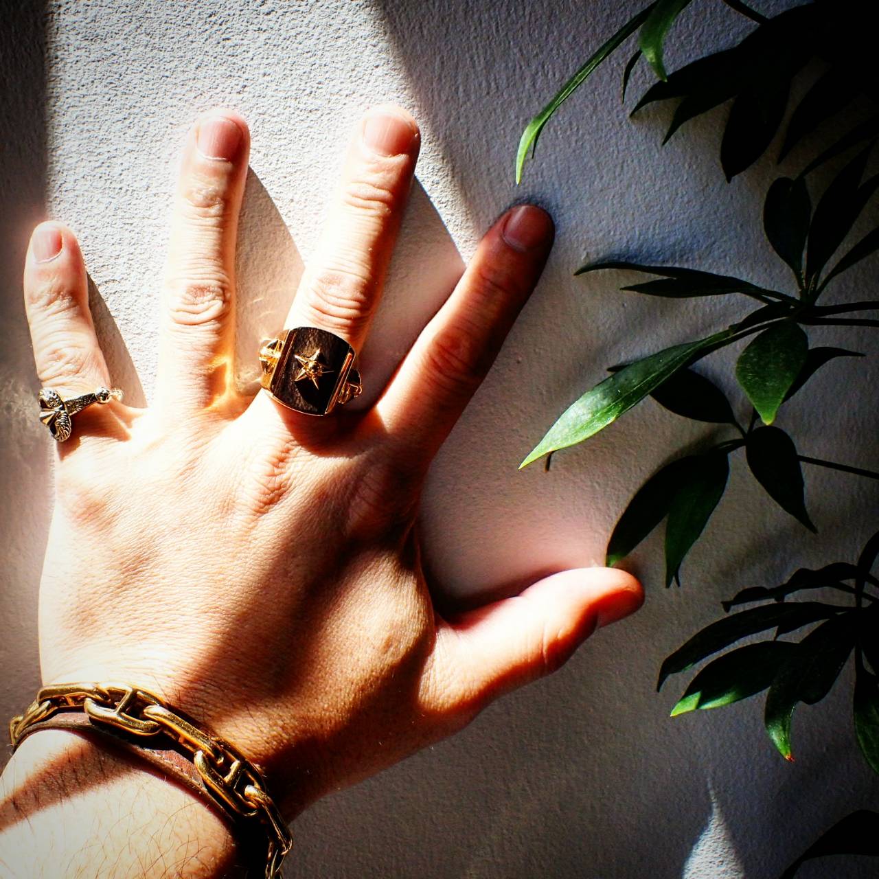  Coming Soon　[ L＆D WOOD RING ]