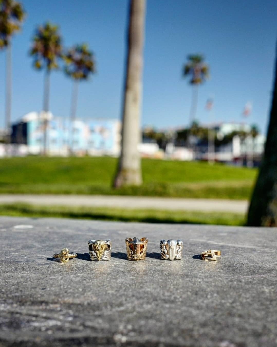 ☆ Venicebeach ☆