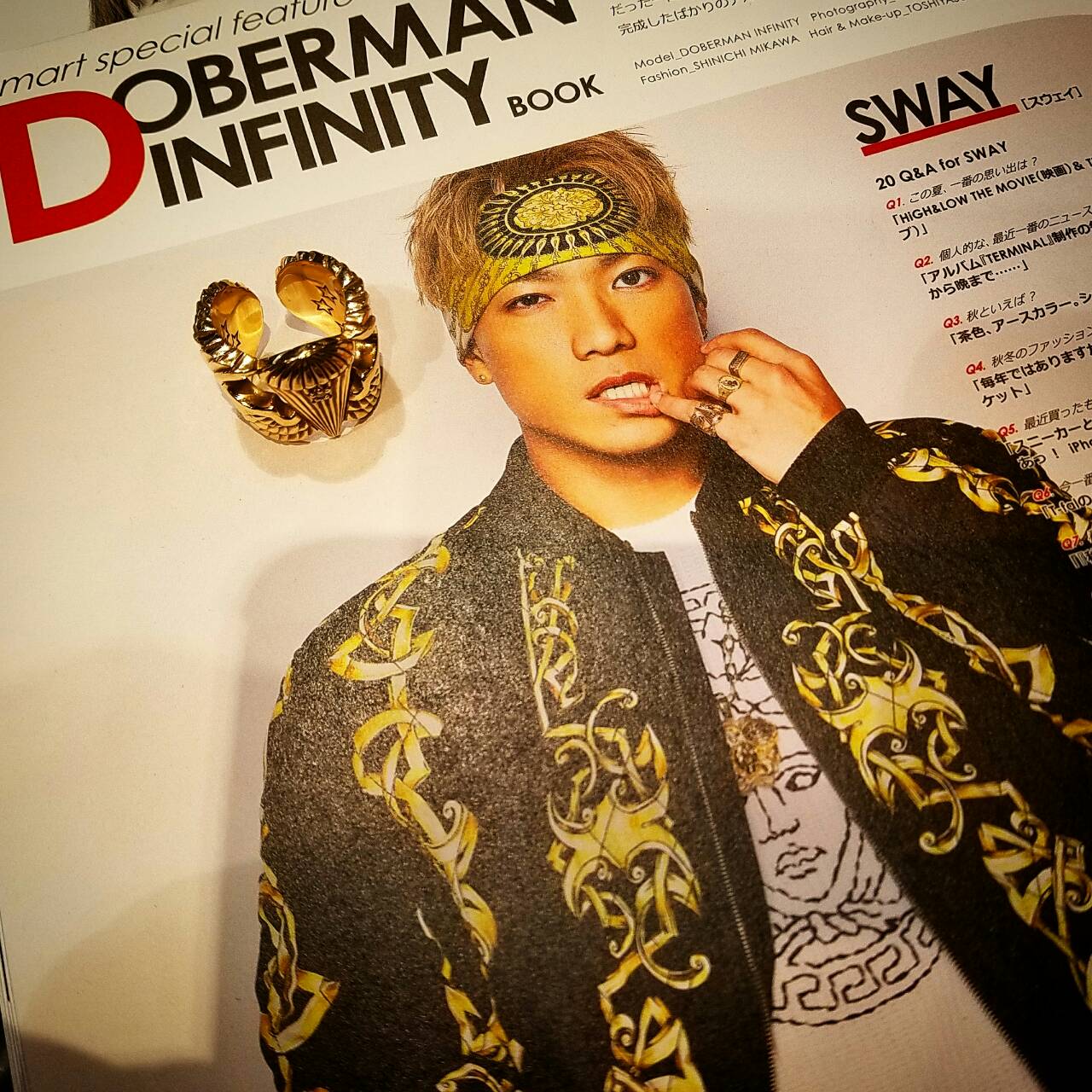 ＤＯＢＥＲＭＡＮＩＮＦＩＮＩＴＹ　SWAY