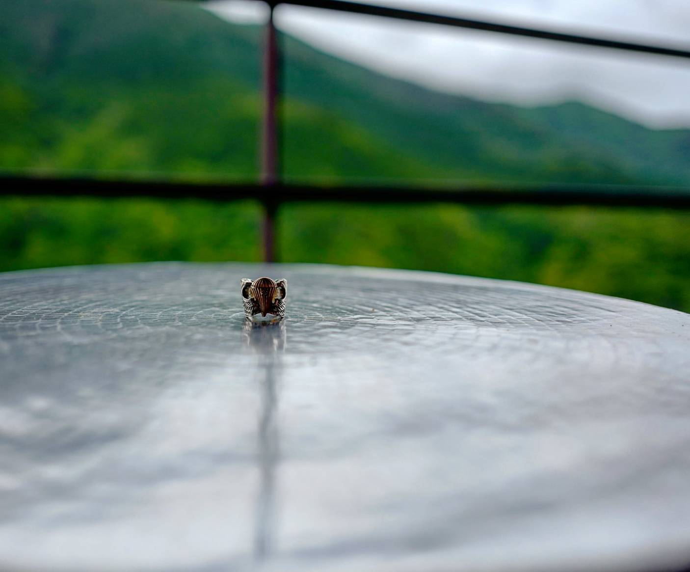 ☆ rainy・・・☆