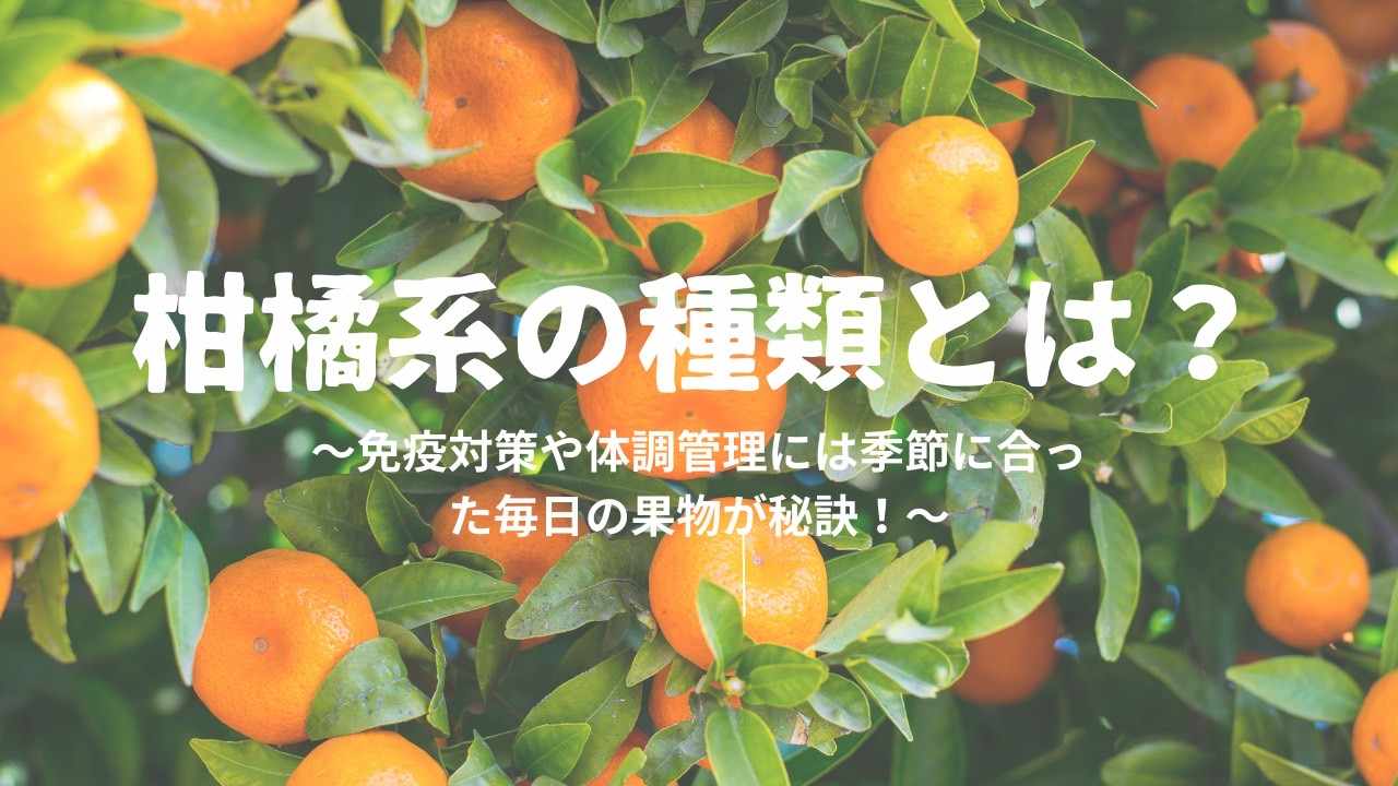 柑橘系フルーツの種類とは？免疫対策や体調管理には季節に合った毎日の果物が秘訣！