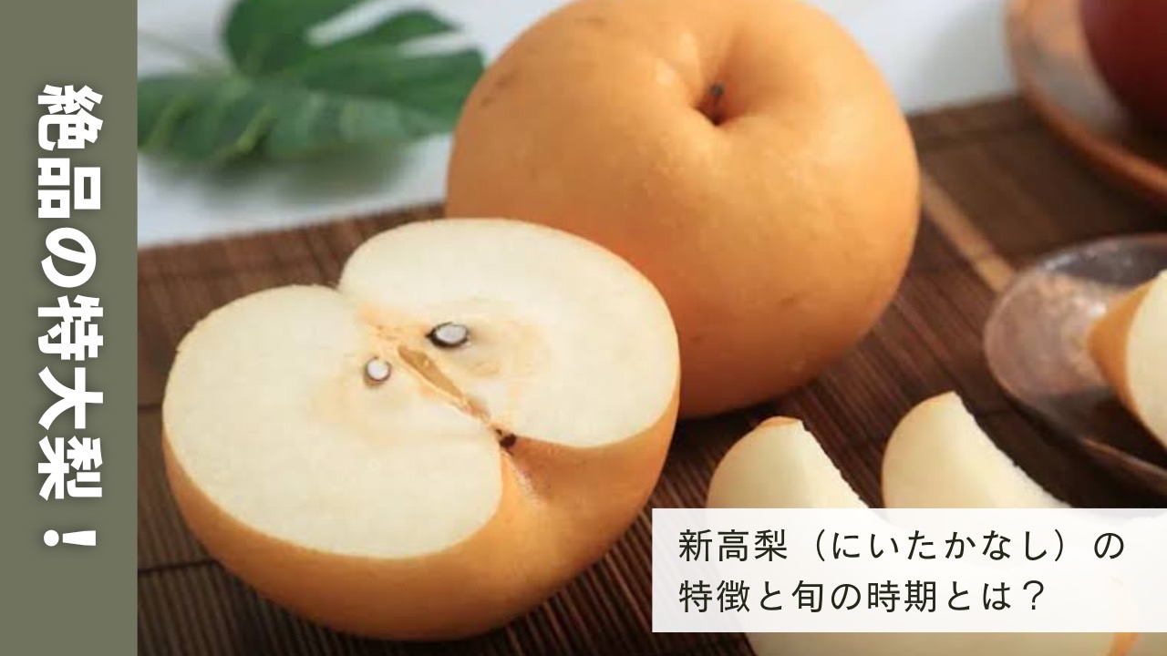 絶品の特大梨！新高梨（にいたかなし）の特徴と旬の時期とは？