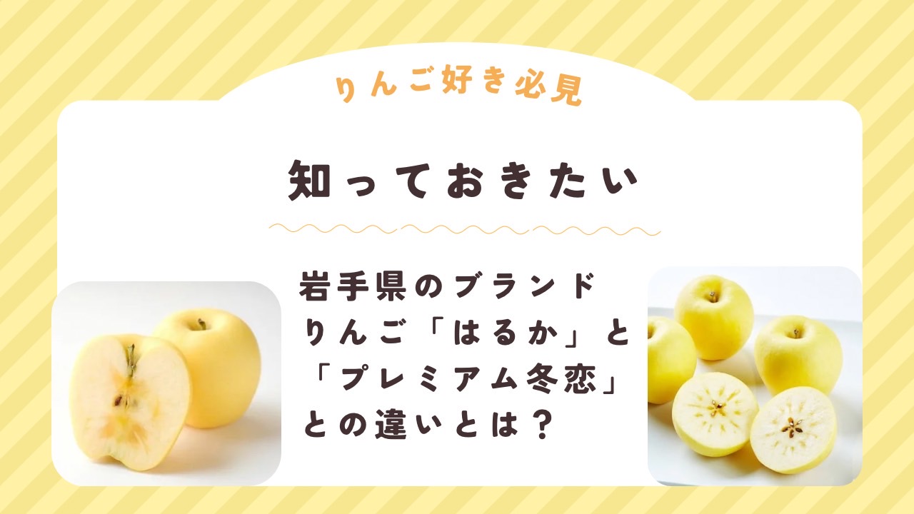【冬恋】岩手県のブランドりんご「はるか」と「プレミアム冬恋」との違いとは？