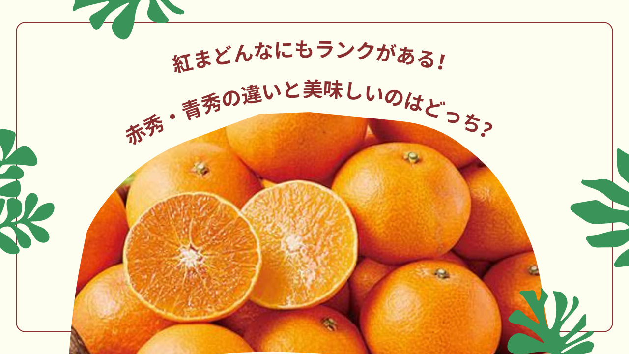 紅まどんなにもランクがある！赤秀・青秀の違いと美味しいのはどっち？
