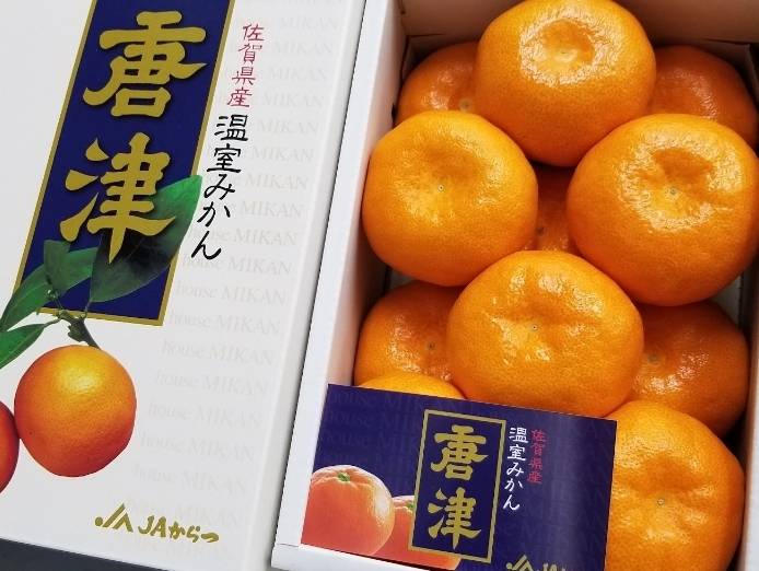 本日の一果 佐賀県産唐津温室みかん