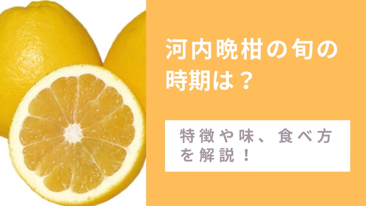河内晩柑（かわちばんかん）の旬の時期は？特徴や味、食べ方を解説！