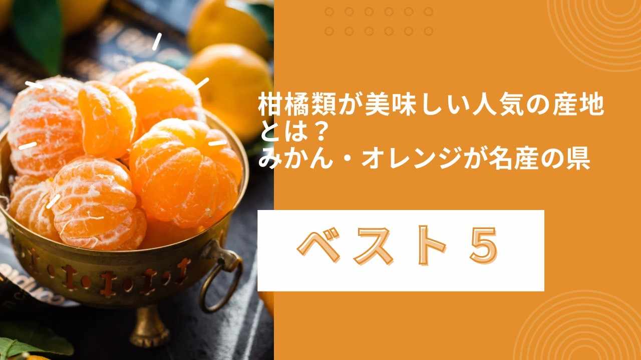 柑橘類が美味しい人気の産地とは？みかん・オレンジが名産の県ベスト5