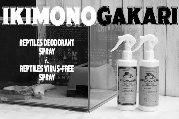 爬虫類用消臭・除菌スプレー販売しています！