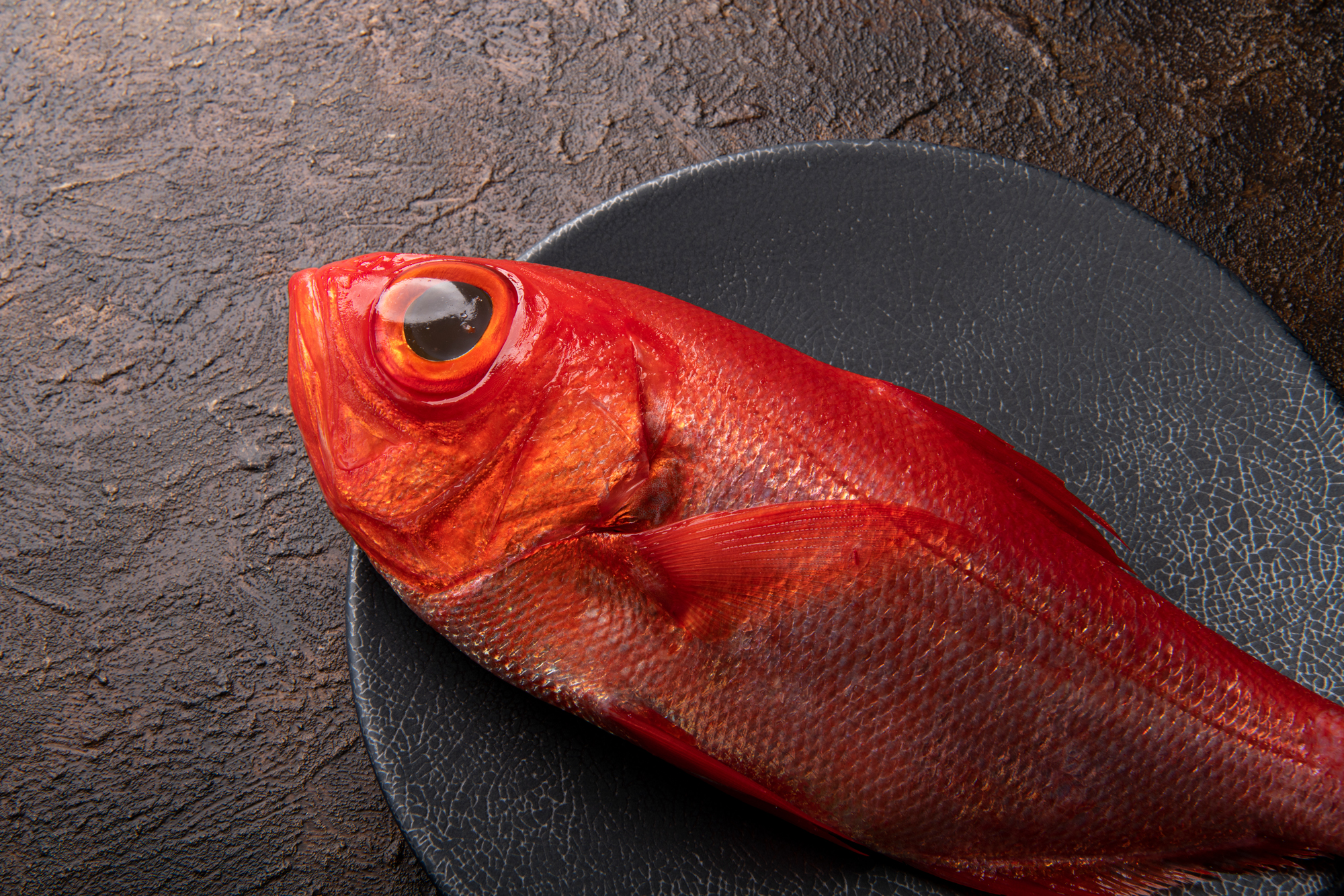 金目鯛ってどんな魚？知って美味しい“しゃぶしゃぶの主役”｜その魅力と味わいを解説