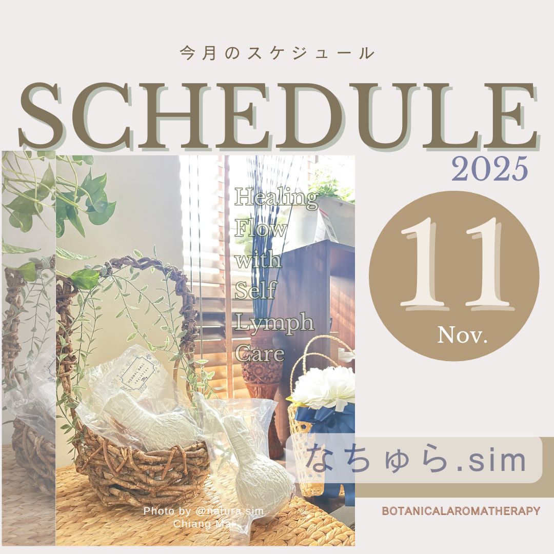 11月スケジュール