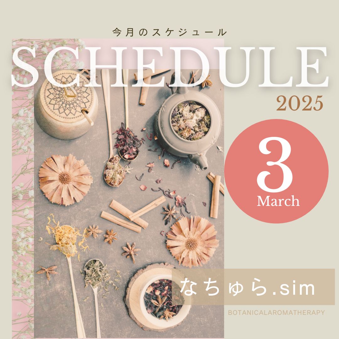 3月のスケジュール