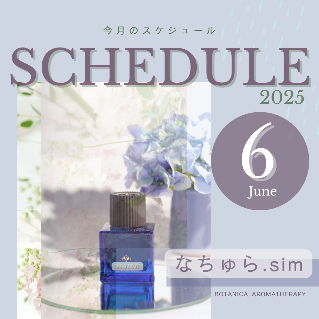 6月のスケジュール