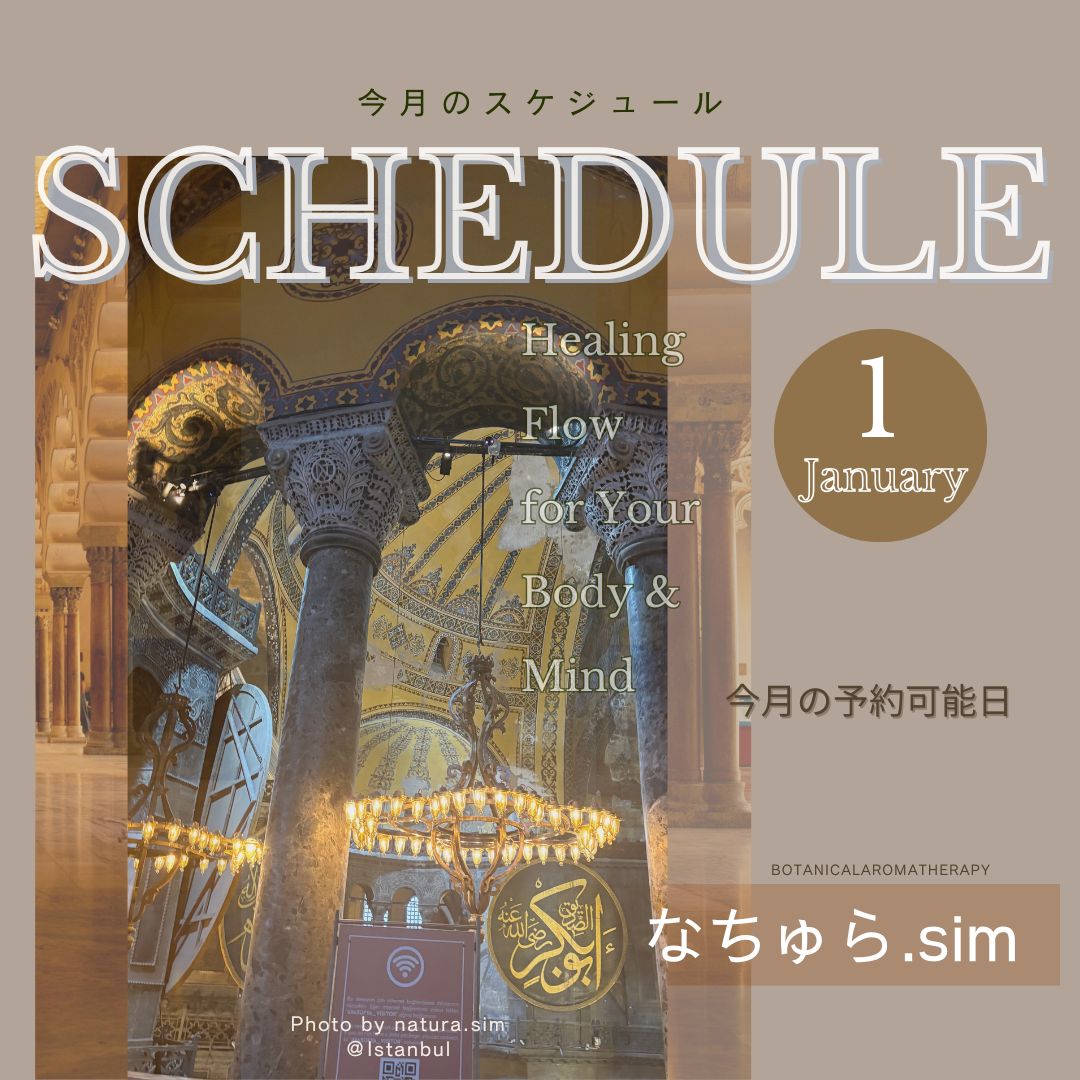 1月のスケジュール