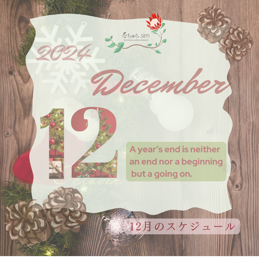12月のスケジュール